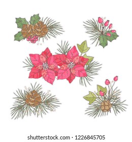 Ink, pencil,  Christmas decor vector set.Transparent background. Hand drawn nature painting. Freehand sketching illustration. 