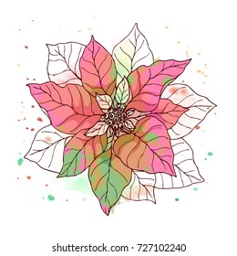 Ink, pencil, flower sketch.Transparent background. Hand drawn nature painting. Freehand sketching illustration. Isolated