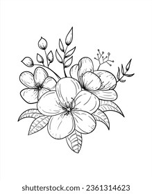 Ink, pencil, the leaves and flowers of jasmine isolate. Line art transparent background. Hand drawn nature painting. Freehand sketching illustration.