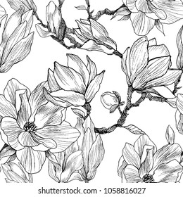 Ink  pencil  the leaves   flowers Magnolia  Seamless pattern background  Hand drawn nature painting  Freehand sketching illustration