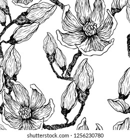 Ink, pencil, the leaves and flowers of Magnolia. Seamless pattern background. Hand drawn nature painting. Freehand sketching illustration