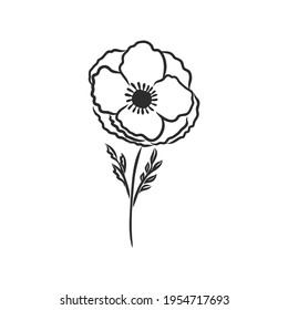 Ink, pencil, the leaves and flowers of Magnolia isolated. Line art transparent background. Hand drawn nature painting. Freehand sketching illustration.