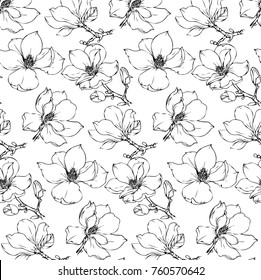 Ink, pencil,  the leaves and flowers of Magnolia seamless  pattern. Line art transparent background. Hand drawn nature painting. Freehand sketching illustration. 