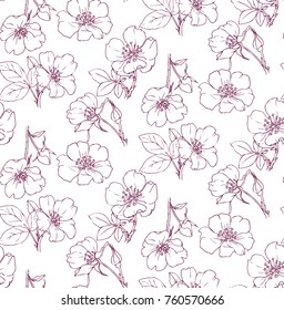 Ink, pencil,  the leaves and flowers of wild rose seamless  pattern. Line art transparent background. Hand drawn nature painting. Freehand sketching illustration. 