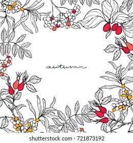 Ink, pencil,  plants frame sketch.Transparent background. Hand drawn nature painting. Freehand sketching illustration.
