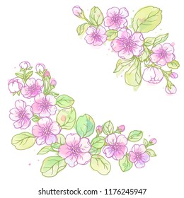 Ink, pencil, watercolor apple blossom sketch. Line art background. Hand drawn nature painting. Freehand sketching illustration. Ink wash painting