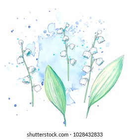 Ink, pencil, watercolor lily flowers sketch. Line art background. Hand drawn nature painting. Freehand sketching illustration. Ink wash painting