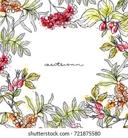 Ink, pencil, watercolor plants frame sketch.Transparent background. Hand drawn nature painting. Freehand sketching illustration. Watercolor and ink  isolate