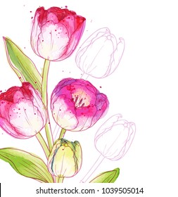 Ink, pencil, watercolor Tulips sketch. Line art background. Hand drawn nature painting. Freehand sketching illustration. Ink wash painting