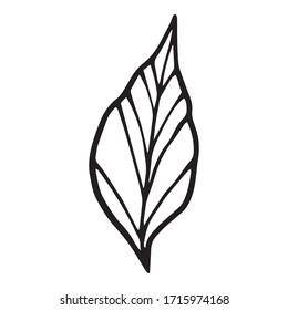 Icono de la hoja de peones Tinta. Ilustración dibujada a mano Icono vectorial de hoja de peones de tinta para diseño web
