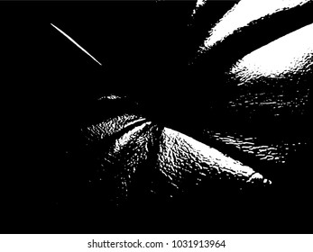 Ink Print Distress Background . Grunge Texture. Abstract Black and white illustration. Vector.