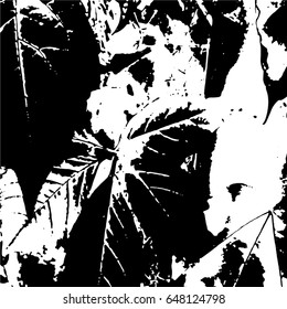Ink Print Distress Background . Grunge Texture. Abstract Black and white illustration. Vector.