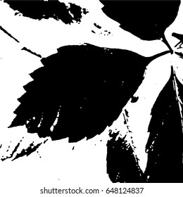 Ink Print Distress Background . Grunge Texture. Abstract Black and white illustration. Vector.