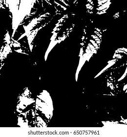 Ink Print Distress Background . Grunge Texture. Abstract Black and white illustration. Vector.