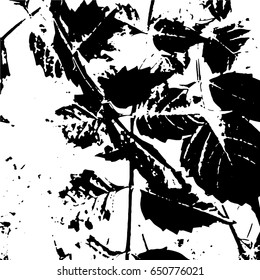 Ink Print Distress Background . Grunge Texture. Abstract Black and white illustration. Vector.