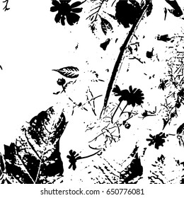 Ink Print Distress Background . Grunge Texture. Abstract Black and white illustration. Vector.