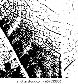 Ink Print Distress Background . Grunge Texture. Abstract Black and white illustration. Vector.