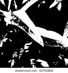 Ink Print Distress Background . Grunge Texture. Abstract Black and white illustration. Vector.