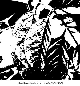 Ink Print Distress Background . Grunge Texture. Abstract Black and white illustration. Vector.