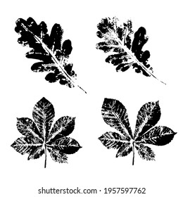 Ink print leaves. Black ink prints of leaves of trees and bushes on a white background. Isolated traced vector objects.