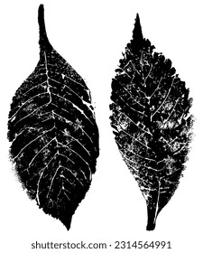 Ink printed leaves with grungy texture. Modern element for textile or wallpaper background design 