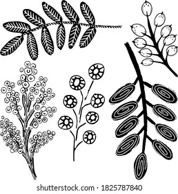 ink, printing, printing equipment, engraving, flowers, acorn,mimosa, yellow flowers, drawing in vector, objects are grouped, elements for decoration