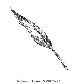 Pluma de pluma de tinta dibujada a mano Caligrafía de pluma, pergamino de inmersión, manuscrito de desplazamiento Pluma de tinta Pluma de Vector Boceto. ilustración negra aislada