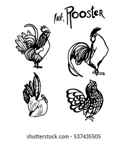 ink rooster vector illustration. symbol of 2017 New Year. design for calender, poster, card.