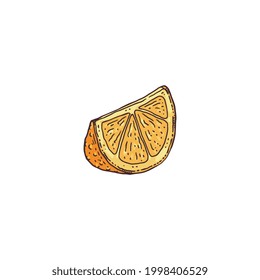 Ink segment or lobule of orange, hand drawn vector illustration isolated on white background. Detailed segment of orange citrus fruit in etched or engraved style.