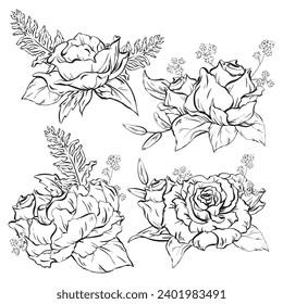 Ink. Set of refined and minimalist composition with a rose blossom and leaves. A fresh, open flower, an elegant adornment for celebrations. Hand-drawn boutonniere. Vector illustration in EPS 10