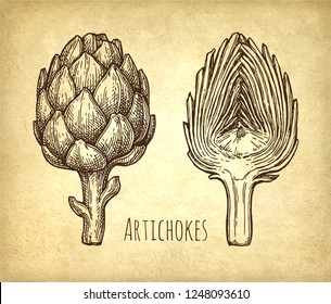 Ink sketch of artichokes. Hand drawn vector illustration on old paper background. Retro style.