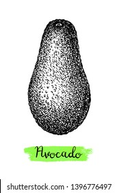 Ink sketch of avocado isolated on white background. Hand drawn vector illustration. Retro style. 