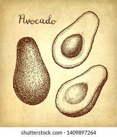Ink sketch of avocado on old paper background. Hand drawn vector illustration. Retro style.