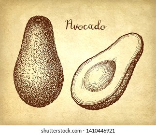 Ink sketch of avocado on old paper background. Hand drawn vector illustration. Retro style.
