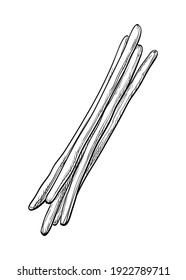 Ink sketch of bread sticks. Isolated on white background. Hand drawn vector illustration. Retro style.