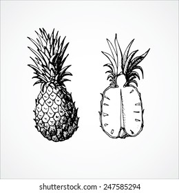 Ink sketch by hand. Large ripe pineapple and cut in half. editable vector illustration