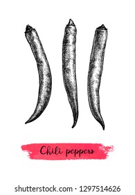 Ink sketch of chile peppers isolated on white background. Hand drawn vector illustration. Retro style