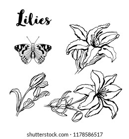 Ink sketch hand drawn set, butterfly and lilies flowers. vector floral illustration isolated on white background. Temporary tattoo and t-shirt design