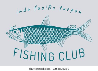 Ink sketch of indo facific tarpon fish. 
Hand drawn vector illustration of fish isolated on grey background. 
Retro style.