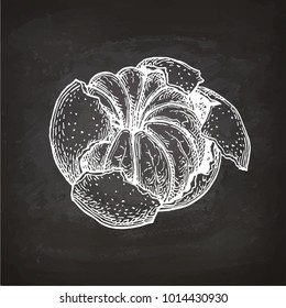 Ink sketch of mandarin orange without peel. Chalk sketch on blackboard background. Hand drawn vector illustration. Retro style.