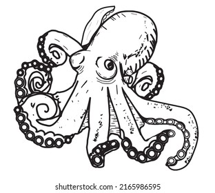 Esbozo de tinta de pulpo. Aislado sobre fondo blanco. Ilustración vectorial dibujada a mano. Estilo retro.