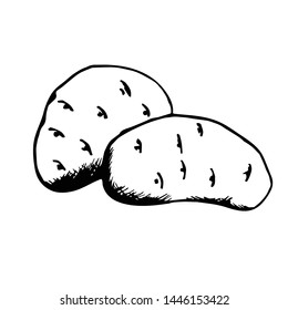 Ink sketch of potatoes isolated on white background. Hand drawn vector illustration. Retro style