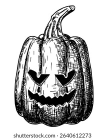 Ink sketch of pumpkin halloween isolated on white background. Pumpkin with angry face in engraving style. Traditional Halloween symbol. Hand drawing sketch. Vector.