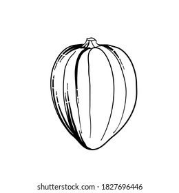 Ink sketch of pumpkin isolated on white background. Hand drawn vector illustration. outline doodle icon. great for Thanksgiving and Halloween Food sketch illustration for print, web, mobile