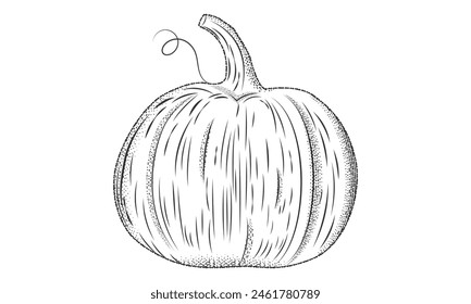 Ink sketch of pumpkin isolated on transparent background.Pumpkin in engraving style.Vegetable illustration in vintage retro woodcut etching style.Vector illustration EPS 10 editable stroke