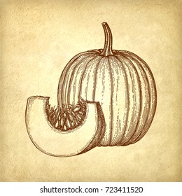 Ink sketch of pumpkin on old paper background. Hand drawn vector illustration. Retro style.