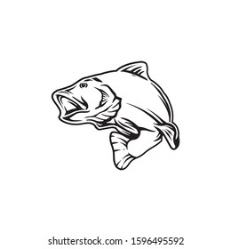 Ink sketch of salmon. Hand drawn vector illustration of fish isolated on white background. Retro style.