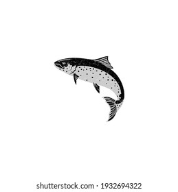 Ink Sketch of Salmon, Hand Drawn Vector Illustration of Fish Isolated on White Background