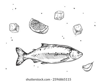 Ink sketch of salmon with lemon and ice with salt isolated on white background. Vector ink vintage engraving illustration fish for menu, web and label. Hand drawn in a graphic style linear drawing