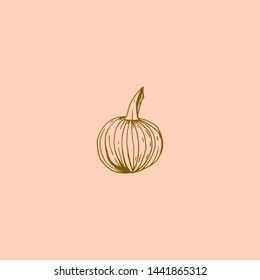 Ink sketch of small round pumpkin on a pink background. Hand-drawn vector illustration.